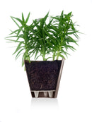 Pottur 30cm.ESTORIL sjálfv.hvítur