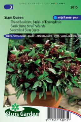 Basil Anise Siam Queen