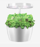 Innigarðar Auxgrow 4 potta hv.LED