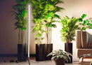 LED 42w standlampi m.þrífót