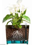 KOS 78 cm. svartur+floth.4