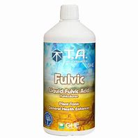 Fulvic 1ltr. (Diamond Nectar)