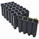 Forræktun Deep Root 28hólf