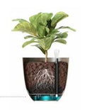 Pottur 38cm. vínrauður  OVER+floth.4