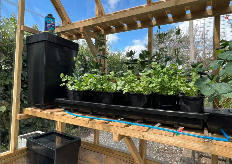 Autopot Tray2Grow