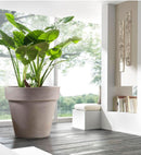 Pottur 50 Vaso kaffibrúnn