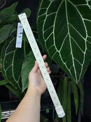 LED 20w GR 50cm. Grow Spec.Cosmorrow