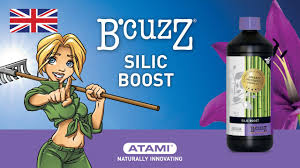 Silic Boost  1 ltr.