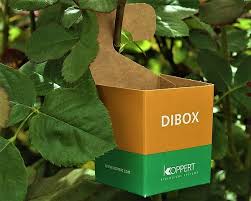 DIbox f.lífrænar varnir