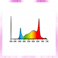 LED Cosmorrow 200w Full Spectrum