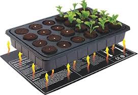RooT!T Hobby 11w hitamotta