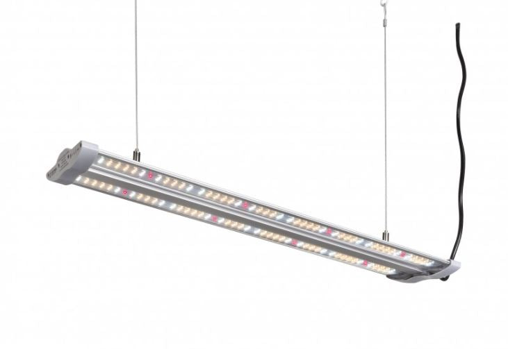 lampi LED 40W Hortimol-image