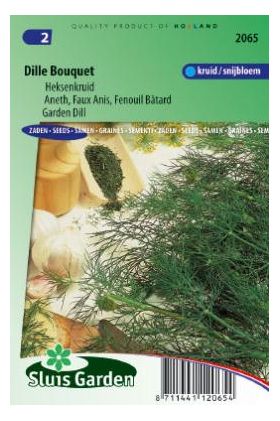 Dill 80cm.