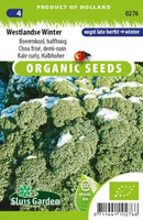 Grænkál  hrokkið-image