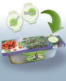 Blikkbali  m. tómötum  F1-image