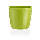 Pottur 14cm.Madeira ljósgrænn-image
