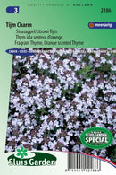 Blóðberg  Timian-image