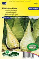 Hvítkál  Hilmar-image