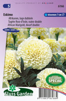 Flauelisblóm tvöföld Eskimo