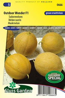 Muskmelon - melóna-image