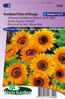 Brúðarskál  Orange-image