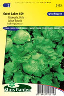 Ísberg, Lettuce-image