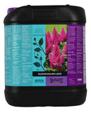 Blossom Builder Liq. 5 ltr.