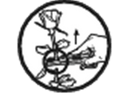 Skæri Flower G.