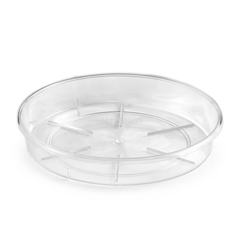 Undirbakki 28cm. Plato glær