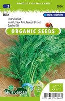 Dill lífrænt 80cm.-image