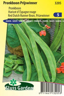 Baunir - Red Dutch runner bean-image
