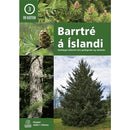 Barrtré á Íslandi-image