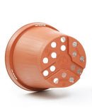 Pottur 14   brúnn  FR-image