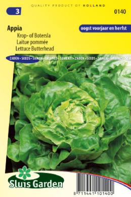 Höfuðsalat - Lettuce Butterhead-image