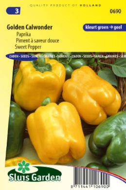 Paprika  Golden Calwonder-image